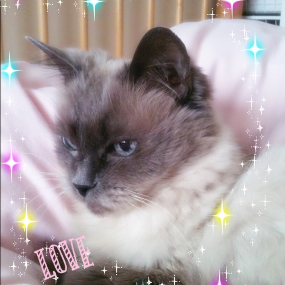 Meet your Posher, Keiko